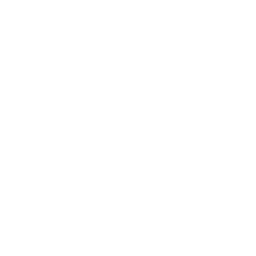 Performance & Restoration