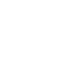 Mobility & Powersports